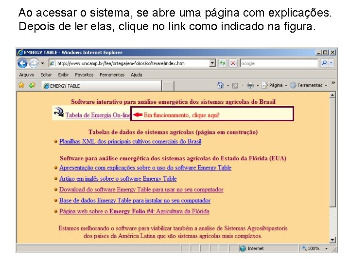 Ao acessar o sistema, se abre uma página com explicações. Depois de ler elas,