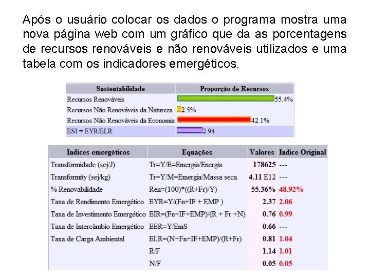 Após o usuário colocar os dados o programa mostra uma nova página web com