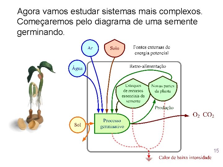 Agora vamos estudar sistemas mais complexos. Começaremos pelo diagrama de uma semente germinando. 15