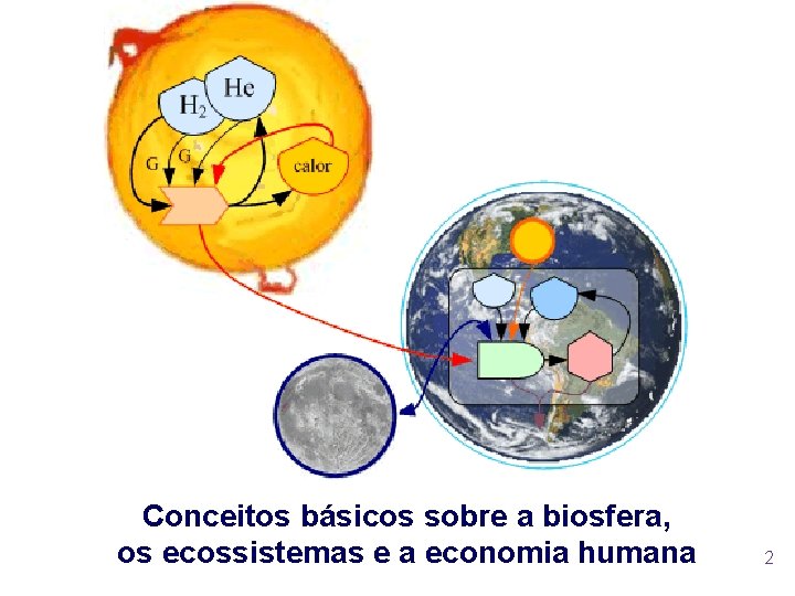 Conceitos básicos sobre a biosfera, os ecossistemas e a economia humana 2 