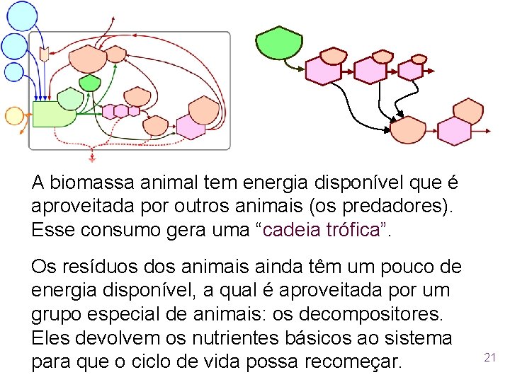 A biomassa animal tem energia disponível que é aproveitada por outros animais (os predadores).