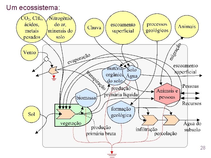 Um ecossistema: 28 