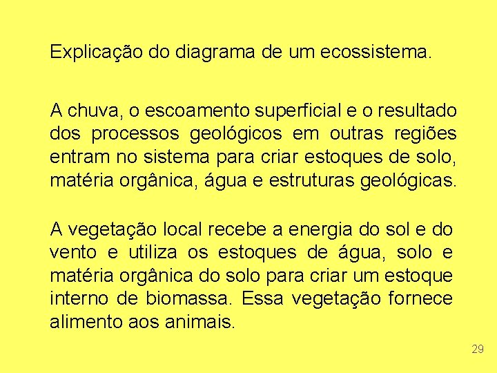 Explicação do diagrama de um ecossistema. A chuva, o escoamento superficial e o resultado