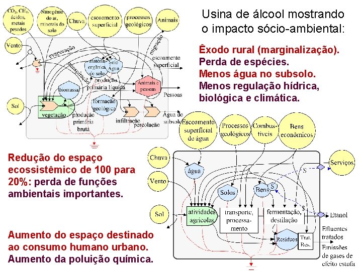 Usina de álcool mostrando o impacto sócio-ambiental: Êxodo rural (marginalização). Perda de espécies. Menos