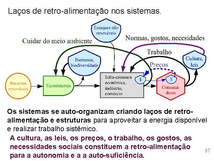 Laços de retro-alimentação nos sistemas. Os sistemas se auto-organizam criando laços de retroalimentação e