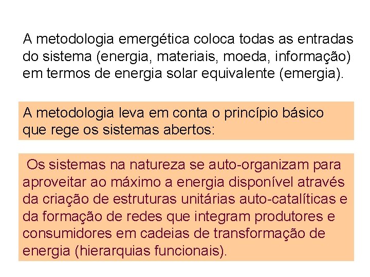 A metodologia emergética coloca todas as entradas do sistema (energia, materiais, moeda, informação) em