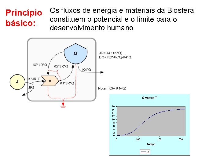 Princípio Os fluxos de energia e materiais da Biosfera constituem o potencial e o