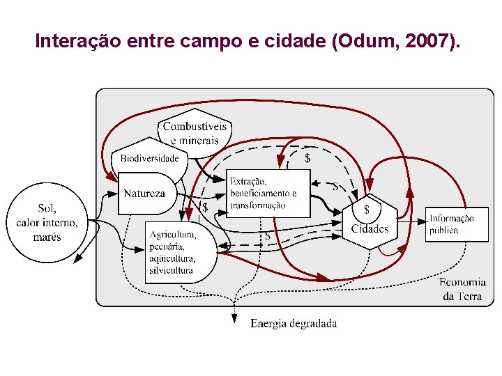 Interação entre campo e cidade (Odum, 2007). 