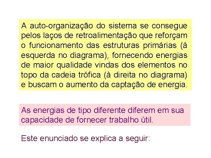 A auto-organização do sistema se consegue pelos laços de retroalimentação que reforçam o funcionamento