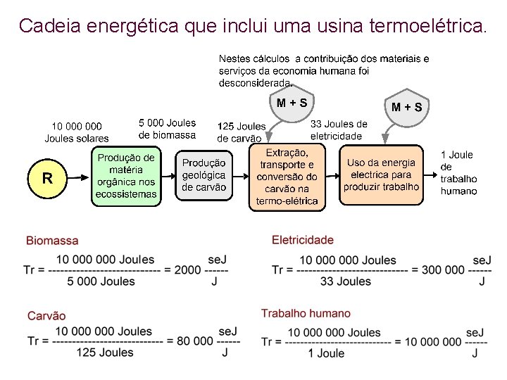 Cadeia energética que inclui uma usina termoelétrica. 