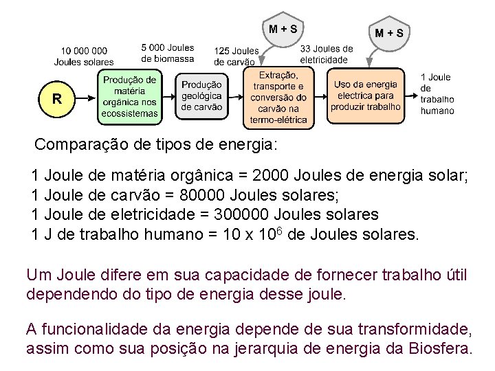 Comparação de tipos de energia: 1 Joule de matéria orgânica = 2000 Joules de