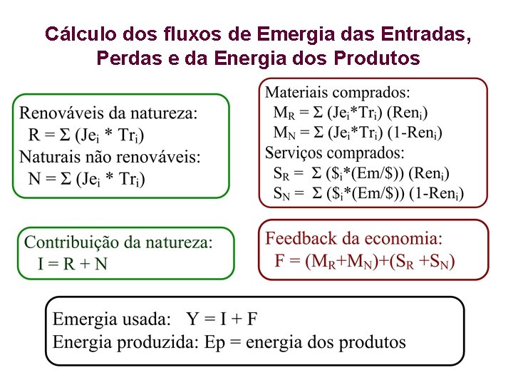 Cálculo dos fluxos de Emergia das Entradas, Perdas e da Energia dos Produtos 