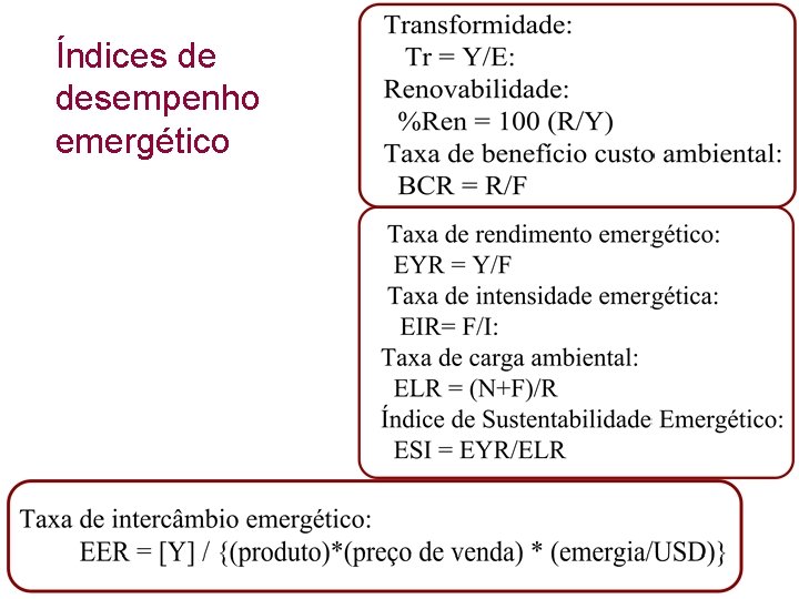 Índices de desempenho emergético 