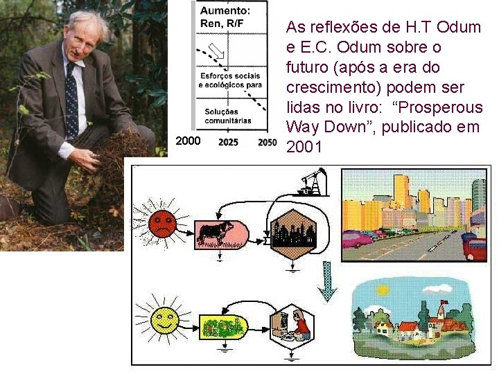 2000 As reflexões de H. T Odum e E. C. Odum sobre o futuro