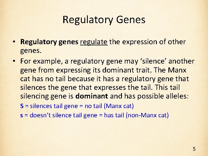Regulatory Genes • Regulatory genes regulate the expression of other genes. • For example,