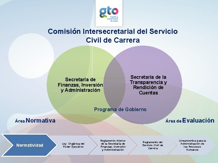 Modelo de Profesionalizacin del Estado de Guanajuato Encuentro