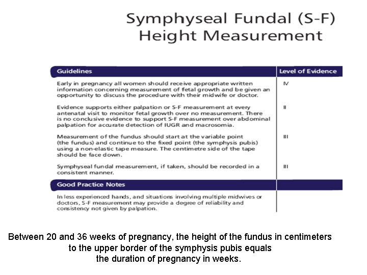 Between 20 and 36 weeks of pregnancy, the height of the fundus in centimeters Between 20 and 36 weeks of pregnancy, the height of the fundus in centimeters