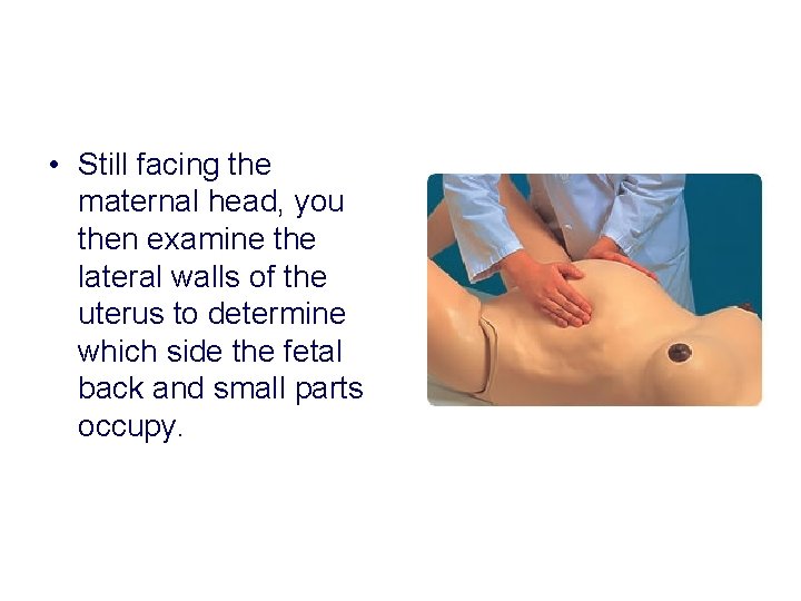 • Still facing the maternal head, you then examine the lateral walls of • Still facing the maternal head, you then examine the lateral walls of