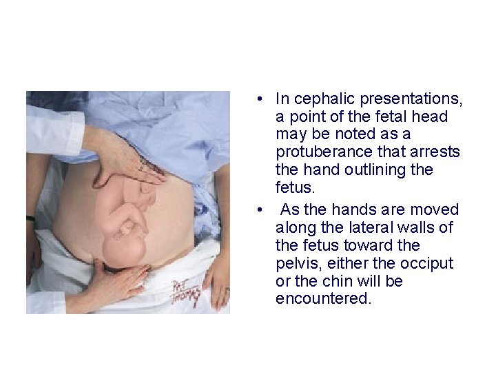 • In cephalic presentations, a point of the fetal head may be noted • In cephalic presentations, a point of the fetal head may be noted