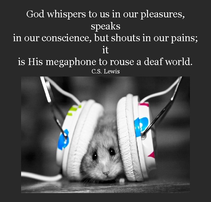 God whispers to us in our pleasures, speaks in our conscience, but shouts in