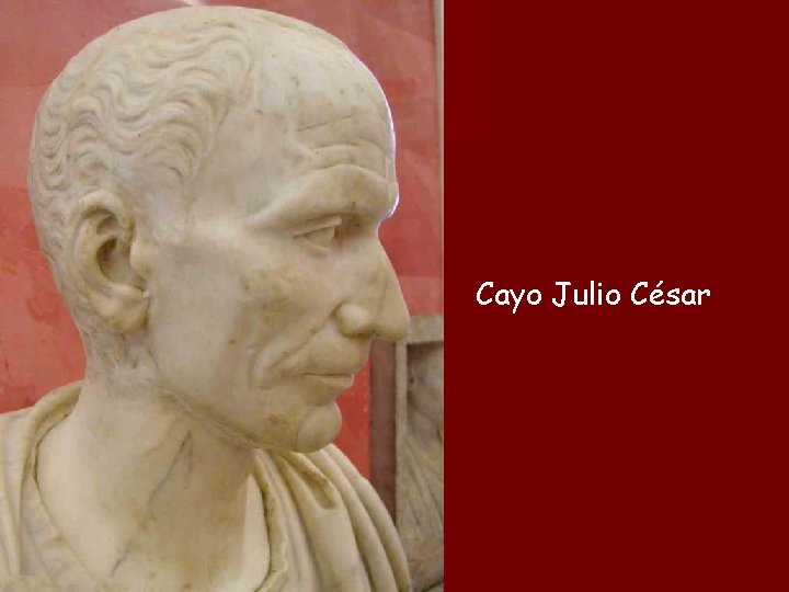 Cayo Julio César 