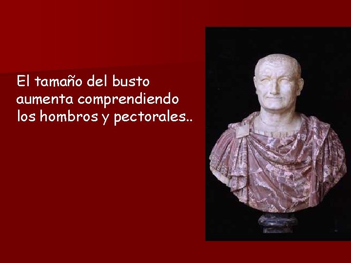 El tamaño del busto aumenta comprendiendo los hombros y pectorales. . 
