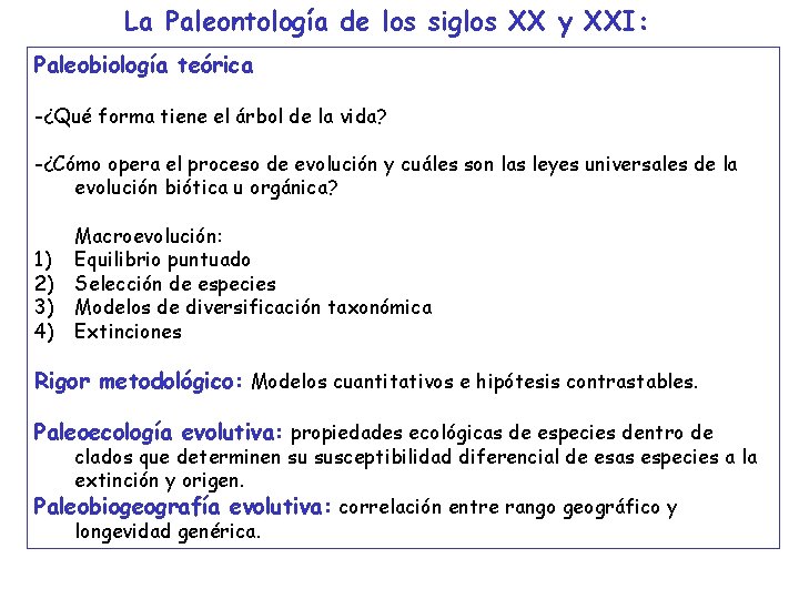 La Paleontología de los siglos XX y XXI: Paleobiología teórica -¿Qué forma tiene el