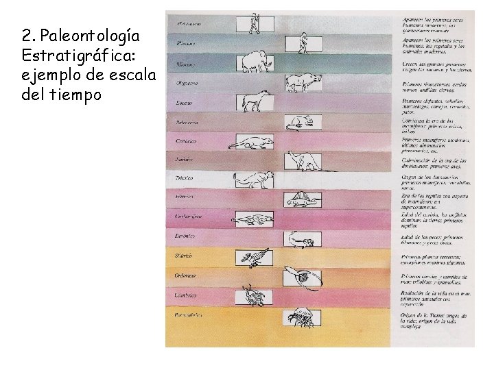 2. Paleontología Estratigráfica: ejemplo de escala del tiempo 