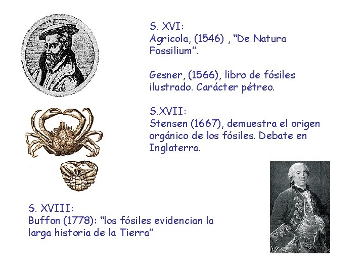 S. XVI: Agricola, (1546) , “De Natura Fossilium”. Gesner, (1566), libro de fósiles ilustrado.
