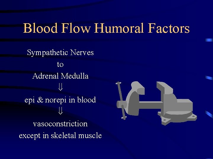 Blood Flow Humoral Factors Sympathetic Nerves to Adrenal Medulla epi & norepi in blood