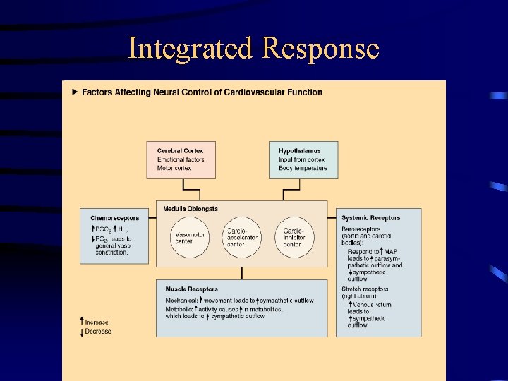 Integrated Response 