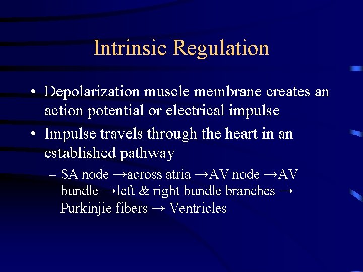 Intrinsic Regulation • Depolarization muscle membrane creates an action potential or electrical impulse •