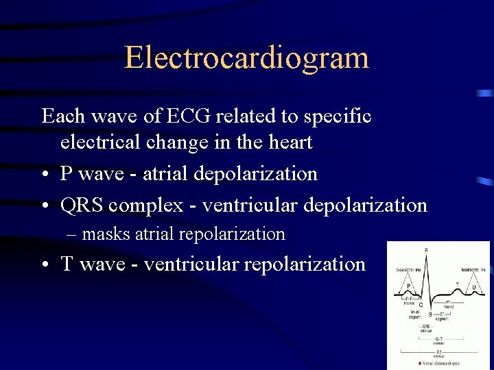 Electrocardiogram Each wave of ECG related to specific electrical change in the heart •