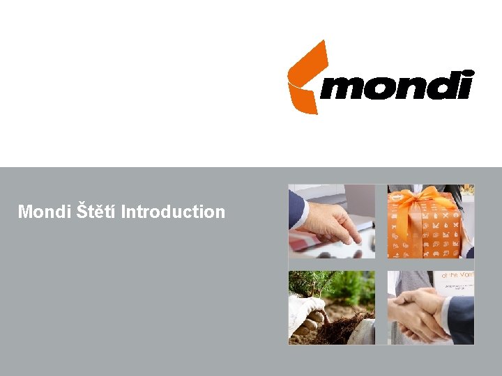 Mondi Štětí Introduction 