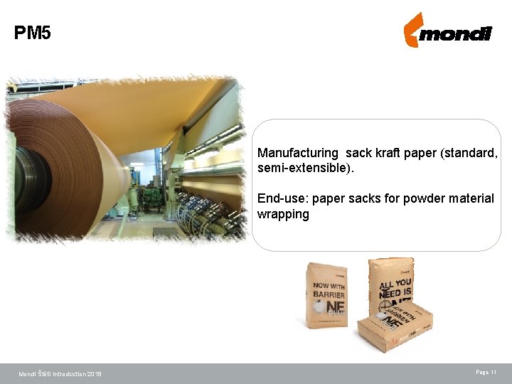 PM 5 Manufacturing sack kraft paper (standard, semi-extensible). End-use: paper sacks for powder material