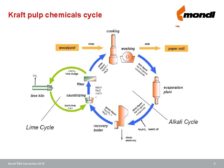 Kraft pulp chemicals cycle Mondi Štětí Introduction 2016 5 