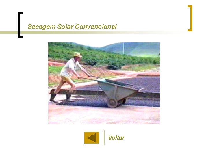 Secagem Solar Convencional Voltar 