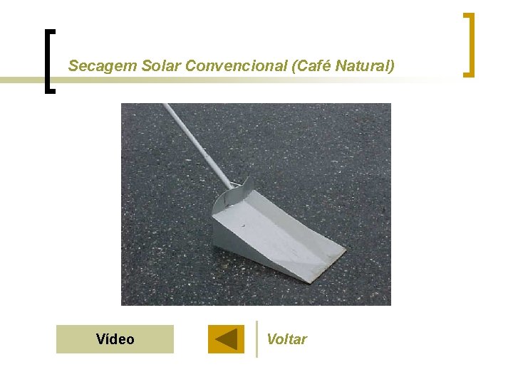 Secagem Solar Convencional (Café Natural) Vídeo Voltar 