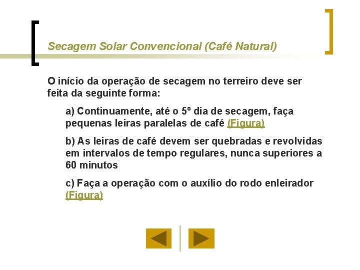 Secagem Solar Convencional (Café Natural) O início da operação de secagem no terreiro deve