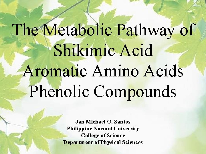 The Metabolic Pathway of Shikimic Acid Aromatic Amino Acids Phenolic Compounds Jan Michael O.