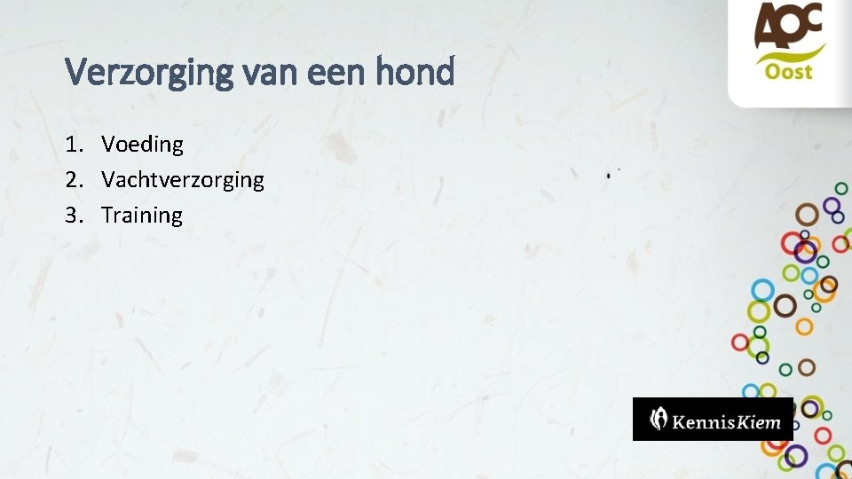 Verzorging van een hond 1. Voeding 2. Vachtverzorging 3. Training 