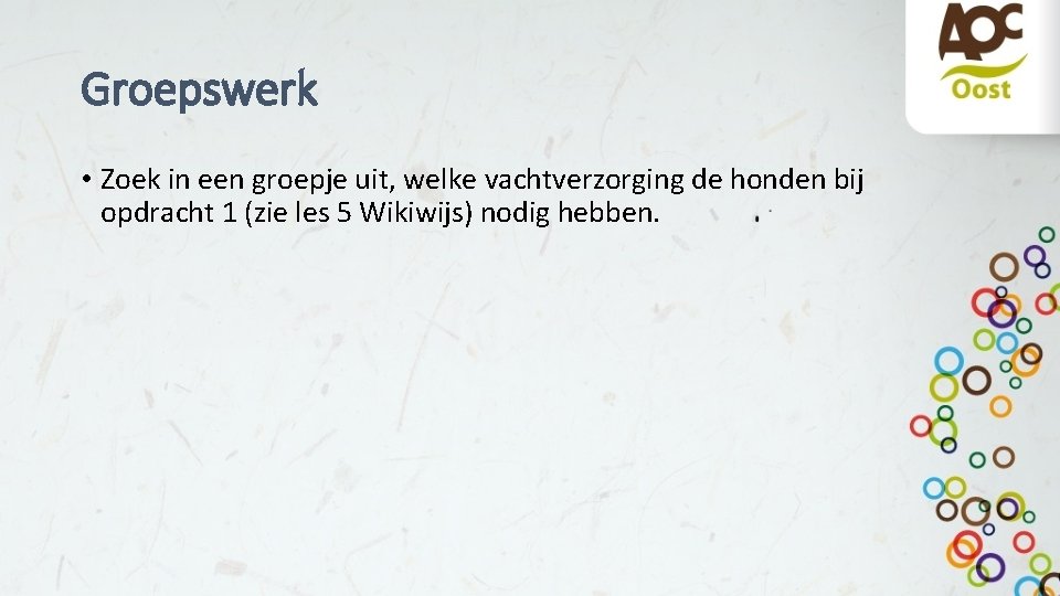 Groepswerk • Zoek in een groepje uit, welke vachtverzorging de honden bij opdracht 1