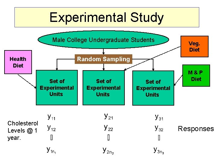Experimental Study Male College Undergraduate Students Random Sampling Health Diet Set of Experimental Units Experimental Study Male College Undergraduate Students Random Sampling Health Diet Set of Experimental Units
