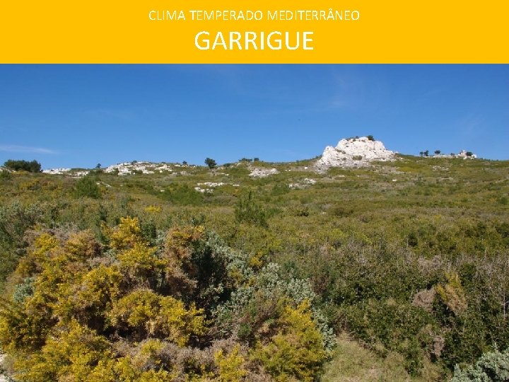 CLIMA TEMPERADO MEDITERR NEO GARRIGUE 