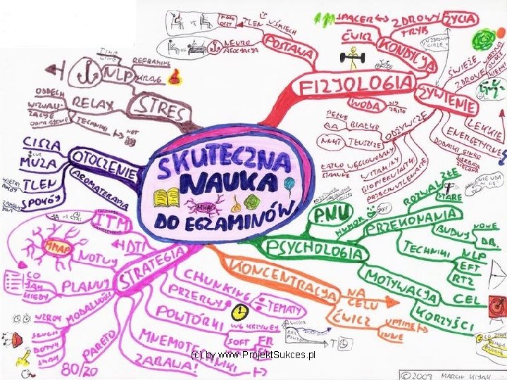 (c) by www. Projekt. Sukces. pl 