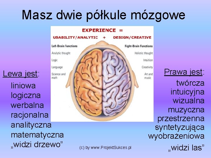 Masz dwie półkule mózgowe Lewa jest: liniowa logiczna werbalna racjonalna analityczna matematyczna „widzi drzewo”