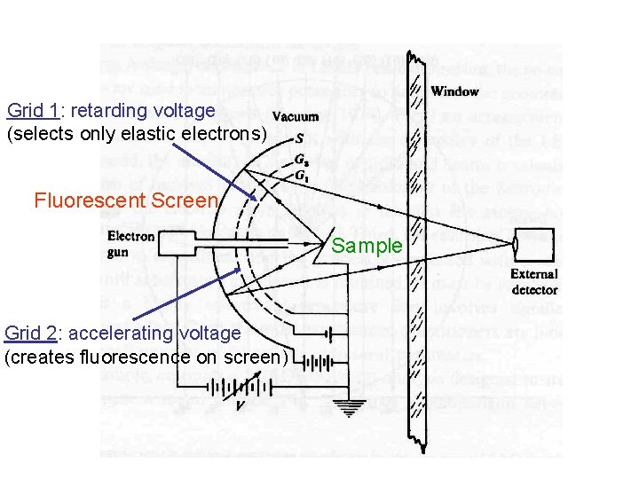 Grid 1: retarding voltage (selects only elastic electrons) Fluorescent Screen Sample Grid 2: accelerating