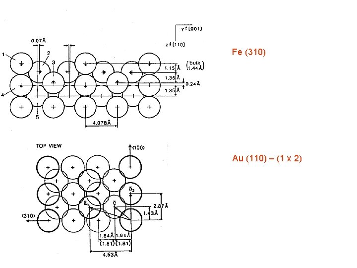 Fe (310) Au (110) – (1 x 2) 