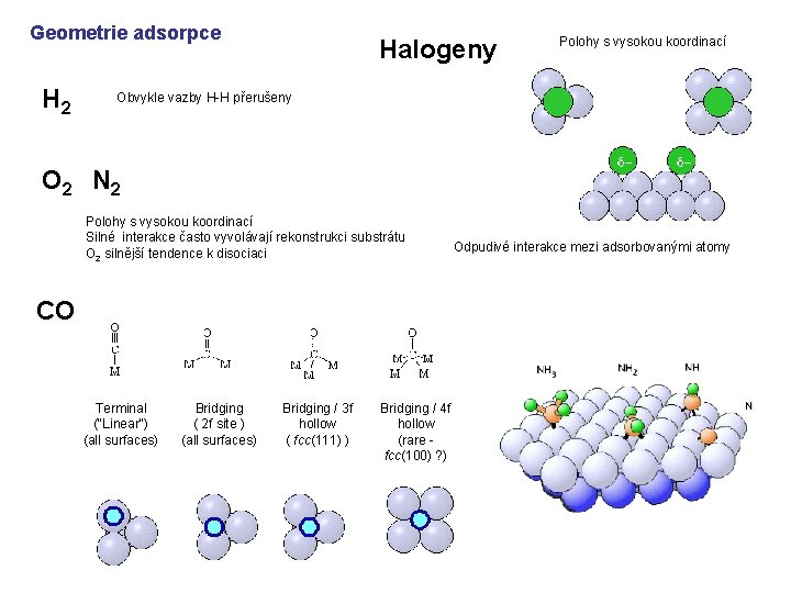 Geometrie adsorpce H 2 Halogeny Polohy s vysokou koordinací Obvykle vazby H-H přerušeny O
