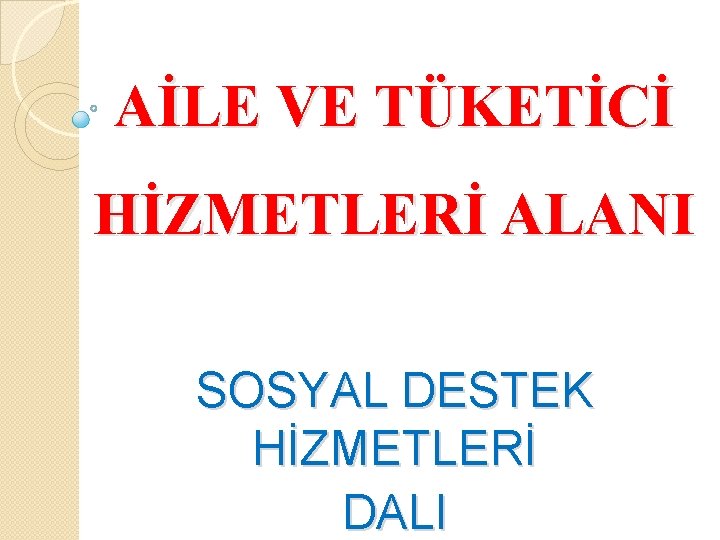 AİLE VE TÜKETİCİ HİZMETLERİ ALANI SOSYAL DESTEK HİZMETLERİ DALI 